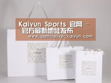 项目名称十一