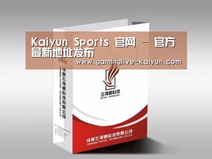 项目名称十三