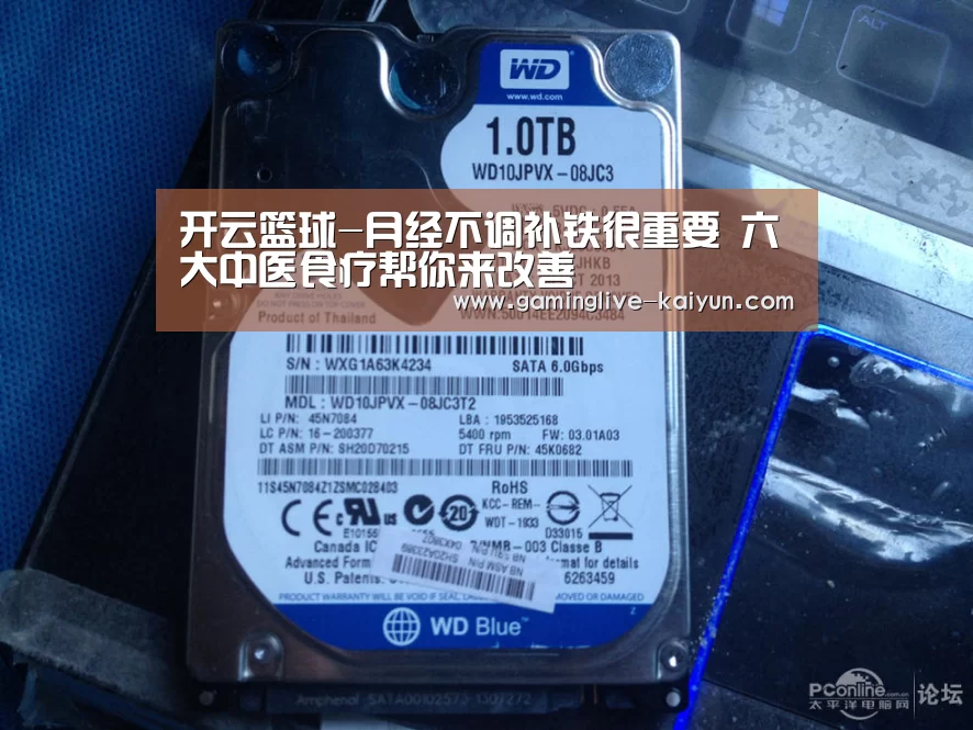 开云登录
