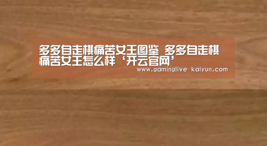 开云入口