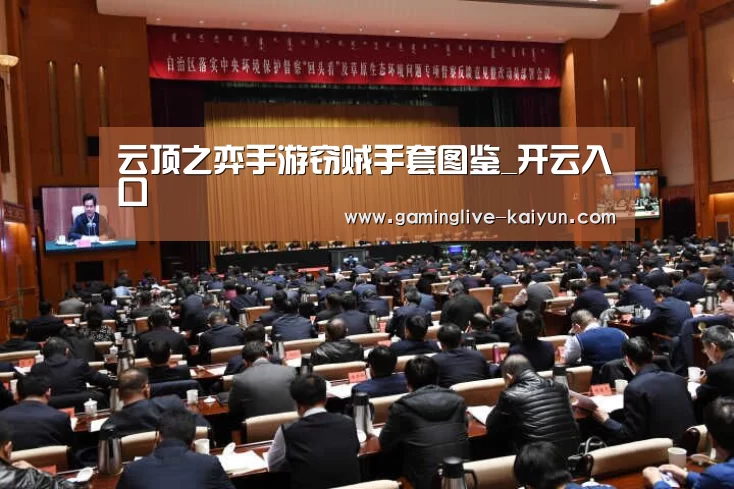 云顶之弈手游窃贼手套图鉴_开云入口(图2) 开云登录