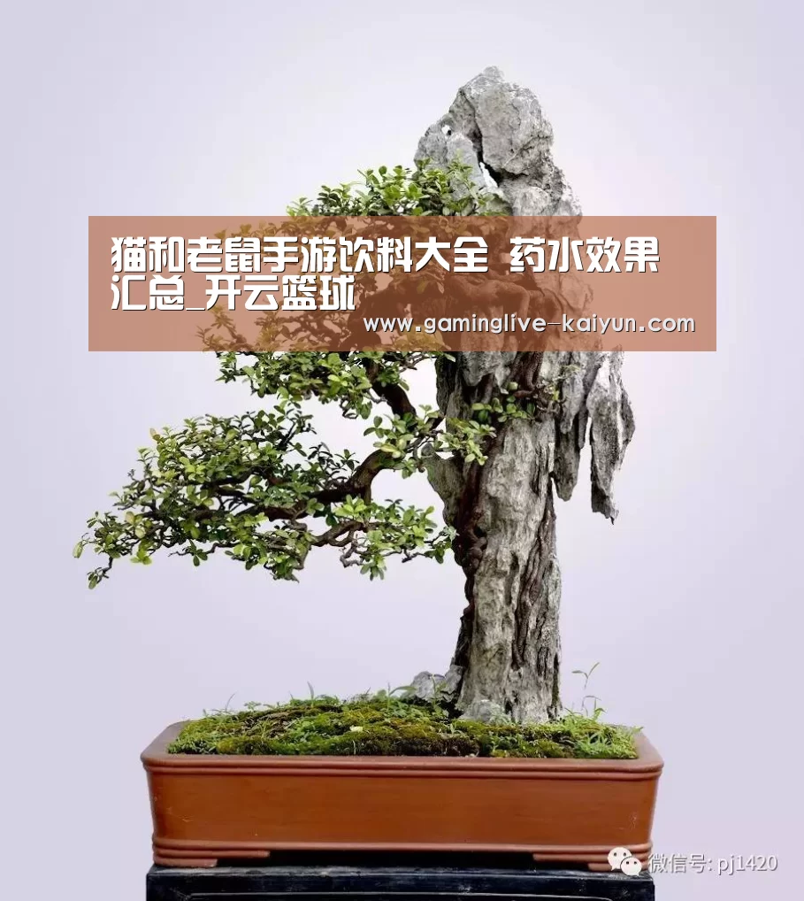 猫和老鼠手游饮料大全 药水效果汇总_开云篮球(图2) 开云登录