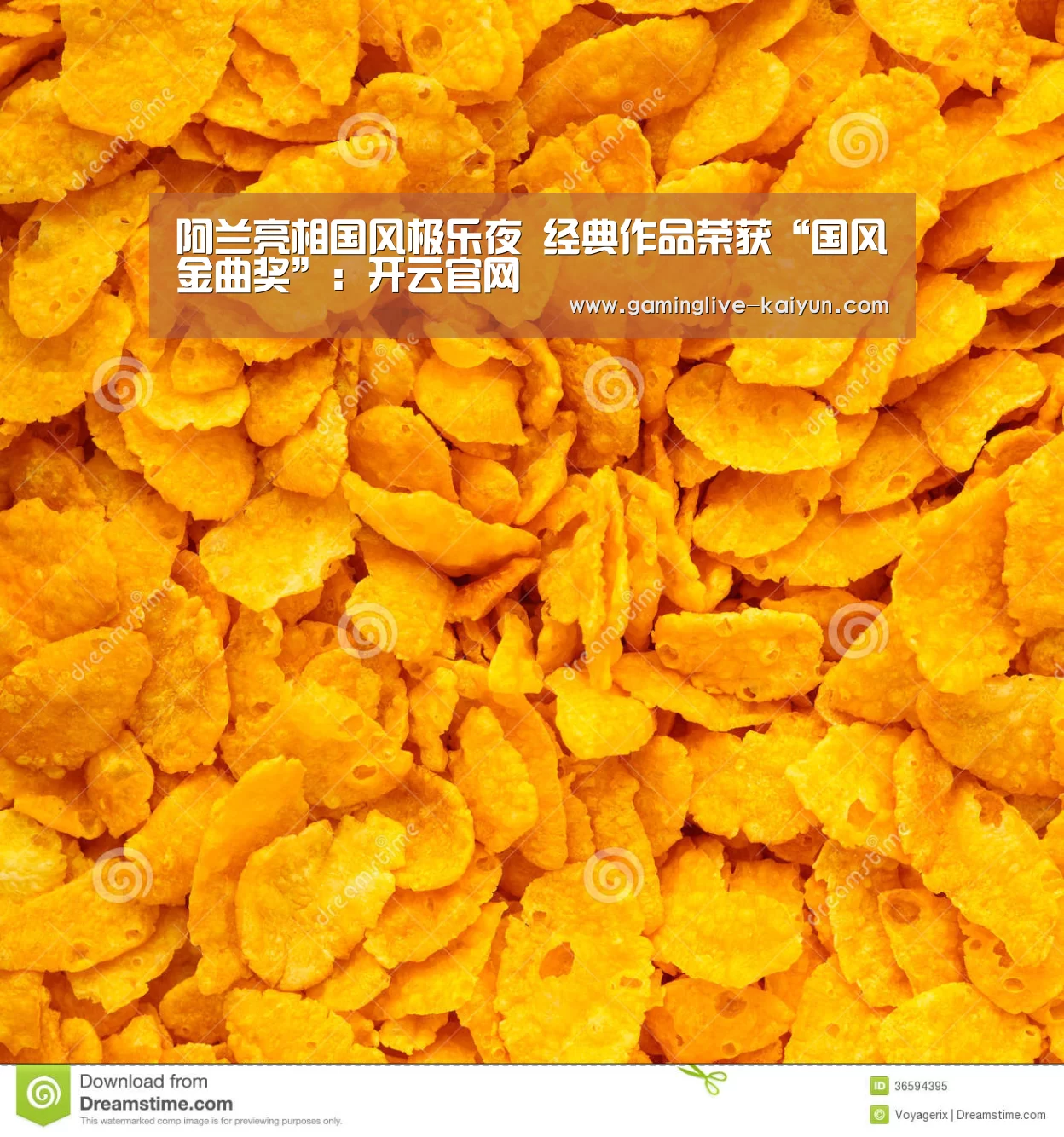 阿兰亮相国风极乐夜 经典作品荣获“国风金曲奖”:开云官网(图2) 开云入口